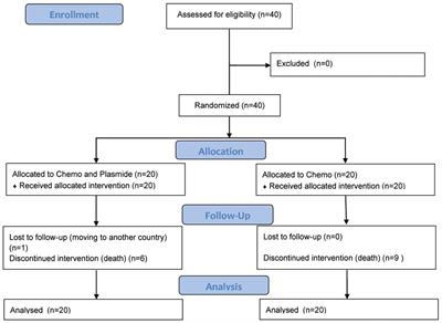 Clinical efficacy of plasmid encoding p62/SQSTM1 (Elenagen) in combination with gemcitabine in patients with platinum-resistant ovarian cancer: a randomized controlled trial